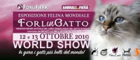 Forlì in Cat Forli 2026
