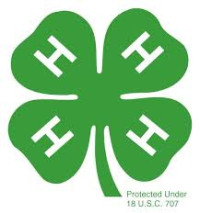 Howard County 4-H Fair Greentown 2027