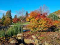 Harlow Carr Autumn Harrogate 2026